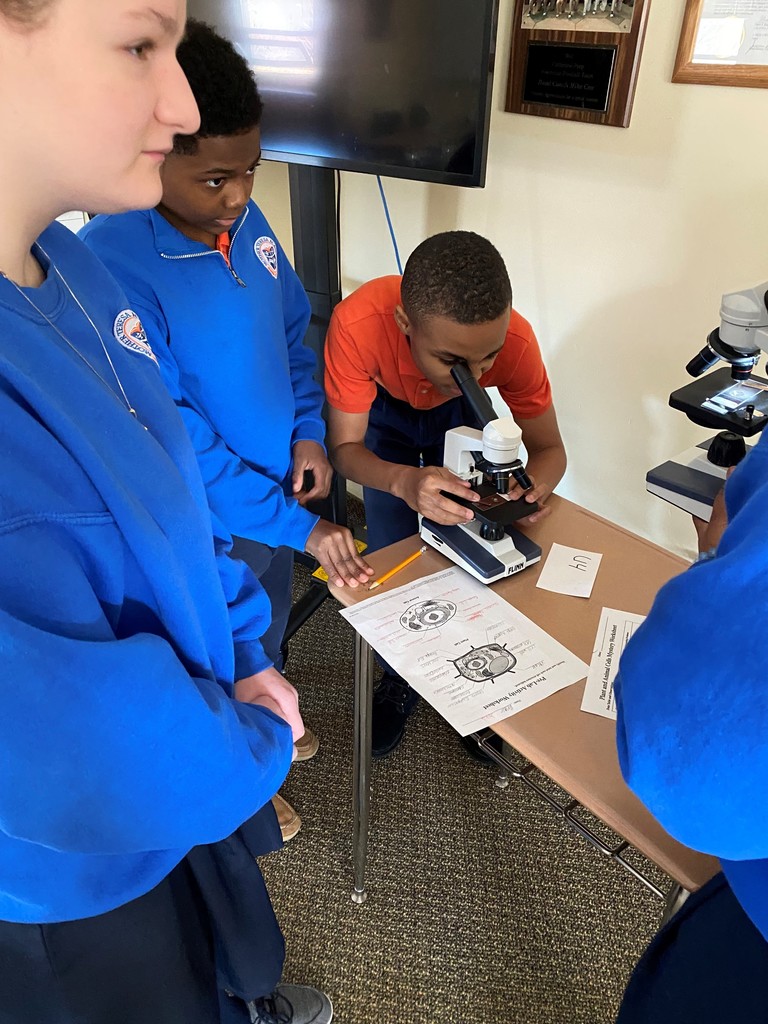 microscope