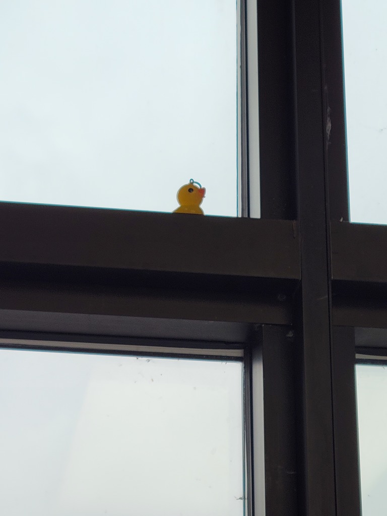 Hiding the ducks photo