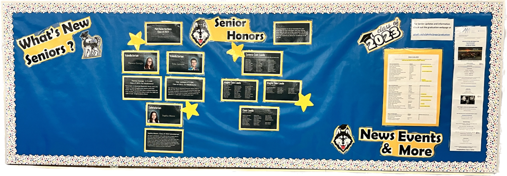 Senior Information Board