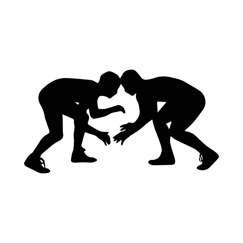 S.C. Wrestling District Update