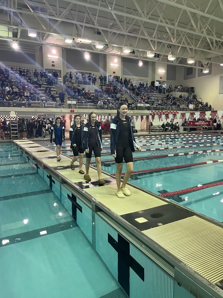 swim 4
