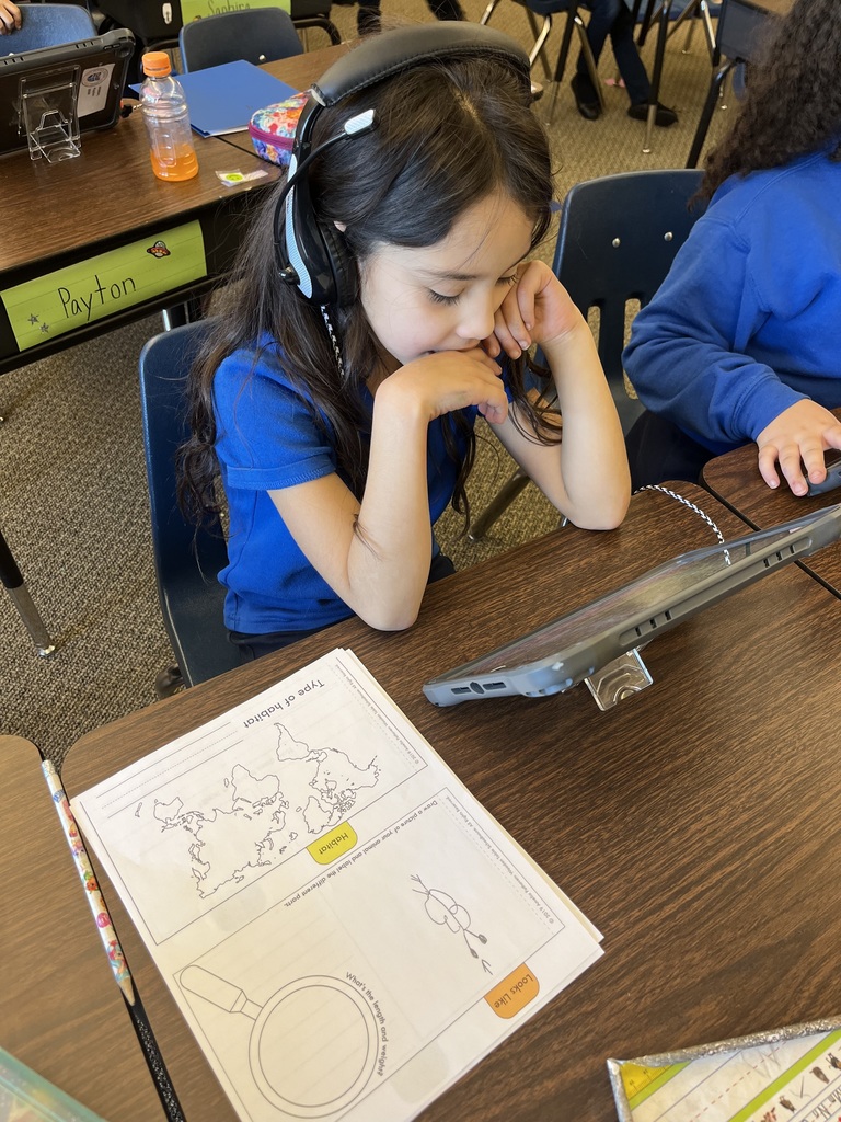 first grade