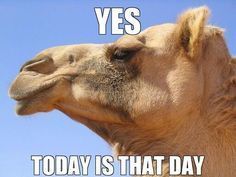Wednesday