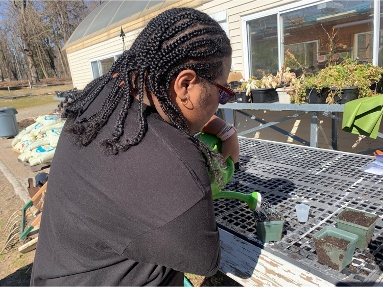 a student waters the newly planted seeds with a green watering can