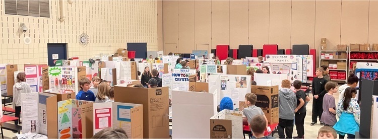 sci fair 7