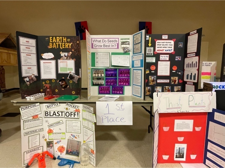 sci fair 8