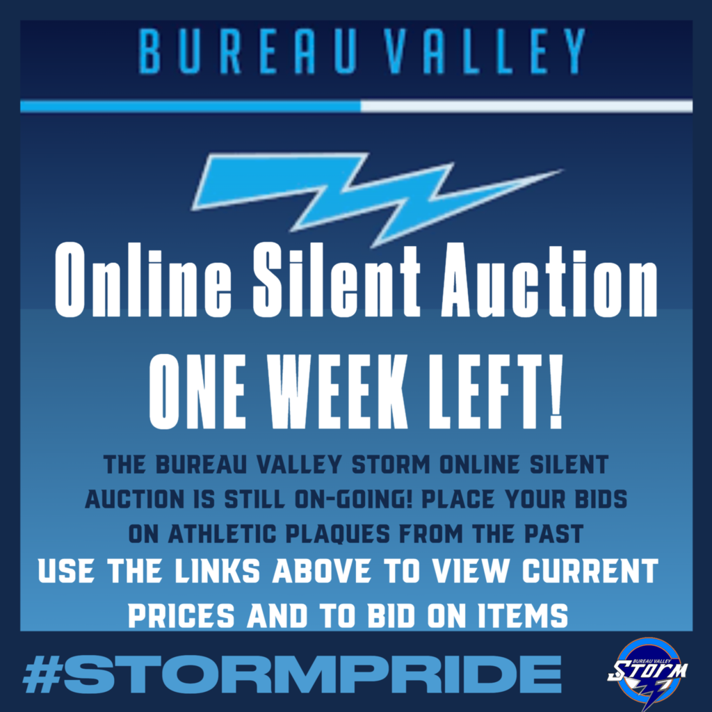 Online Silent Auction