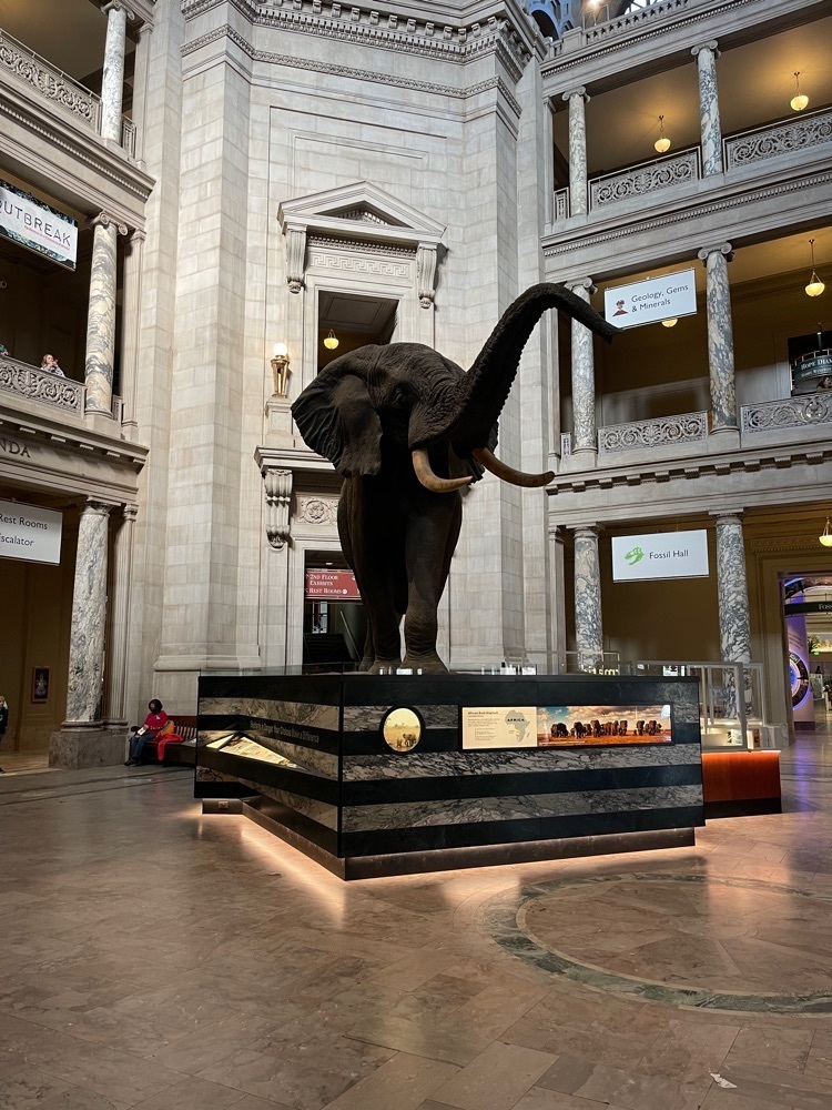 Museum of Natural History