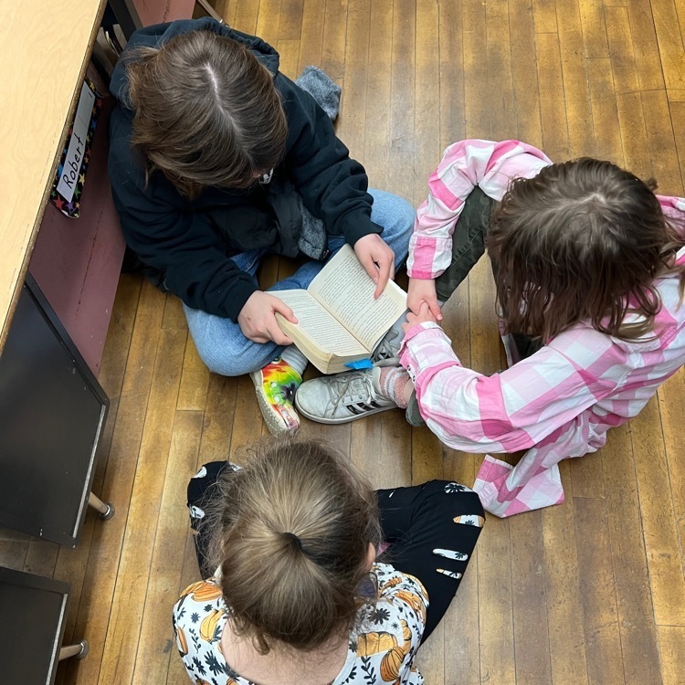 buddy reading 