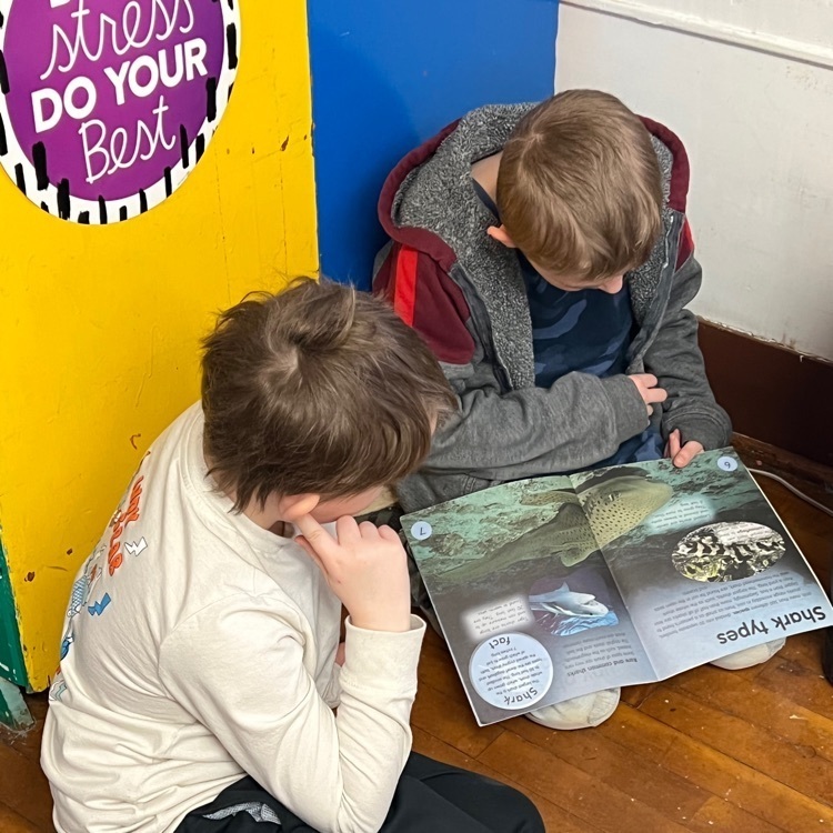 buddy reading 