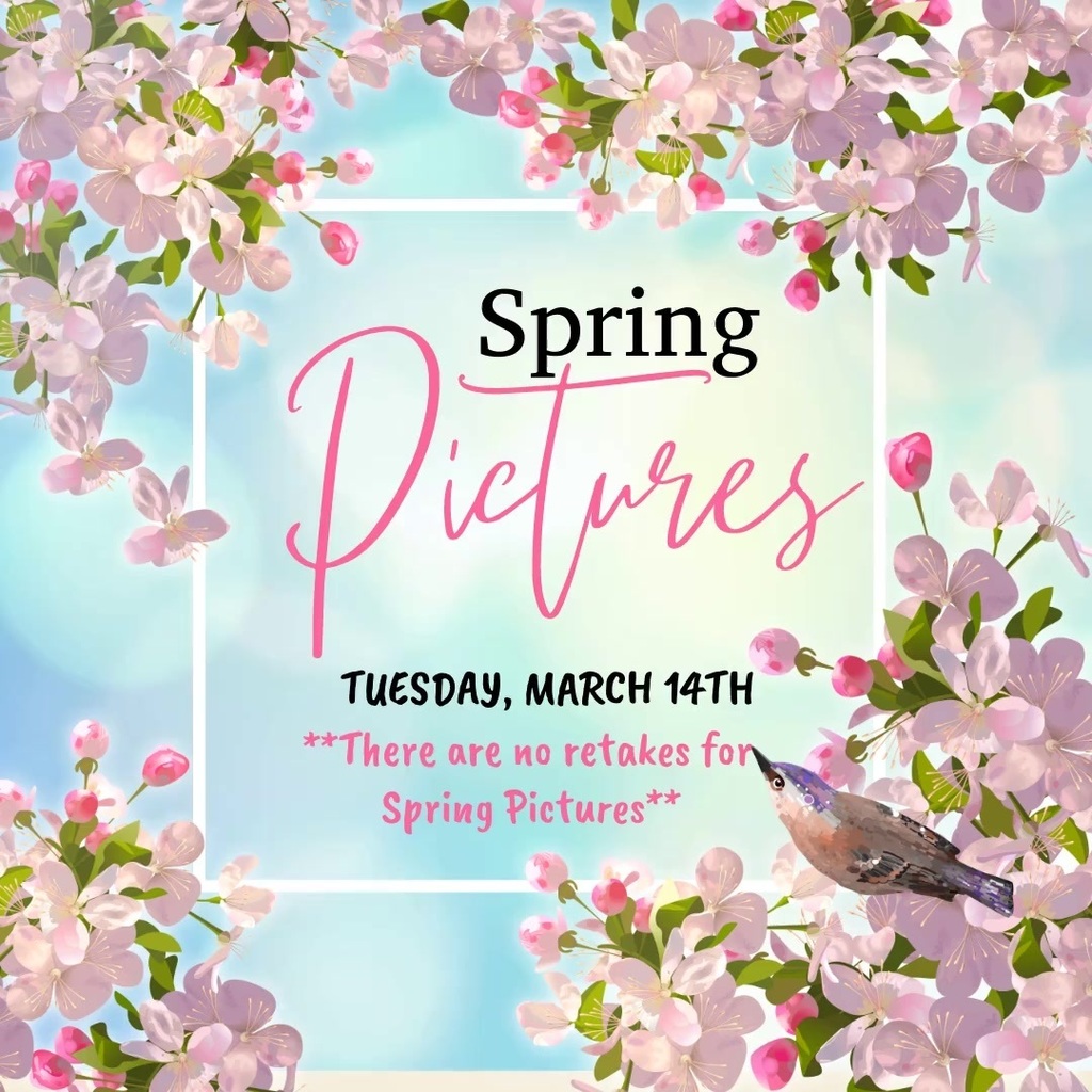 Spring Pictures