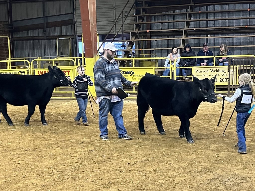 teacher helping student show cow