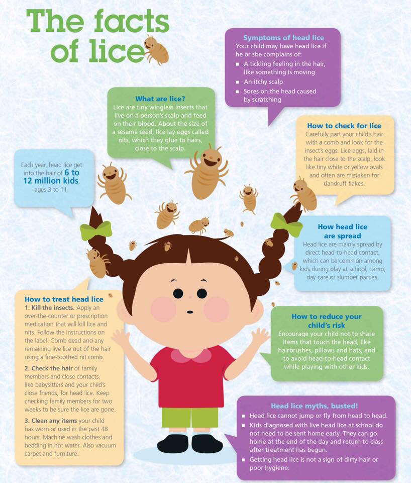 Head Lice