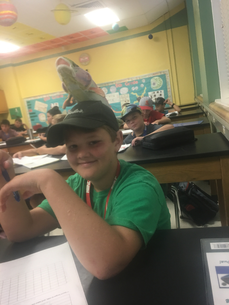 Sporting some extra fun hats in science 