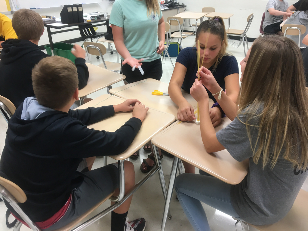 Students build bridges