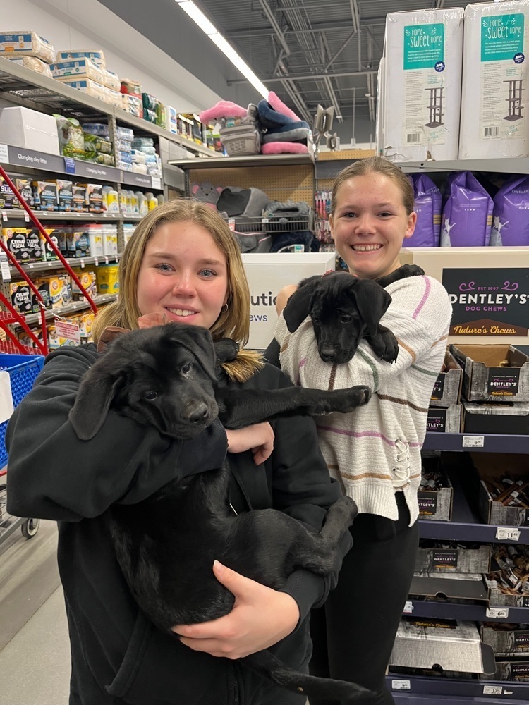 Maddie and Tessa holding two dogs that are up for adoption from PA Caring Hearts