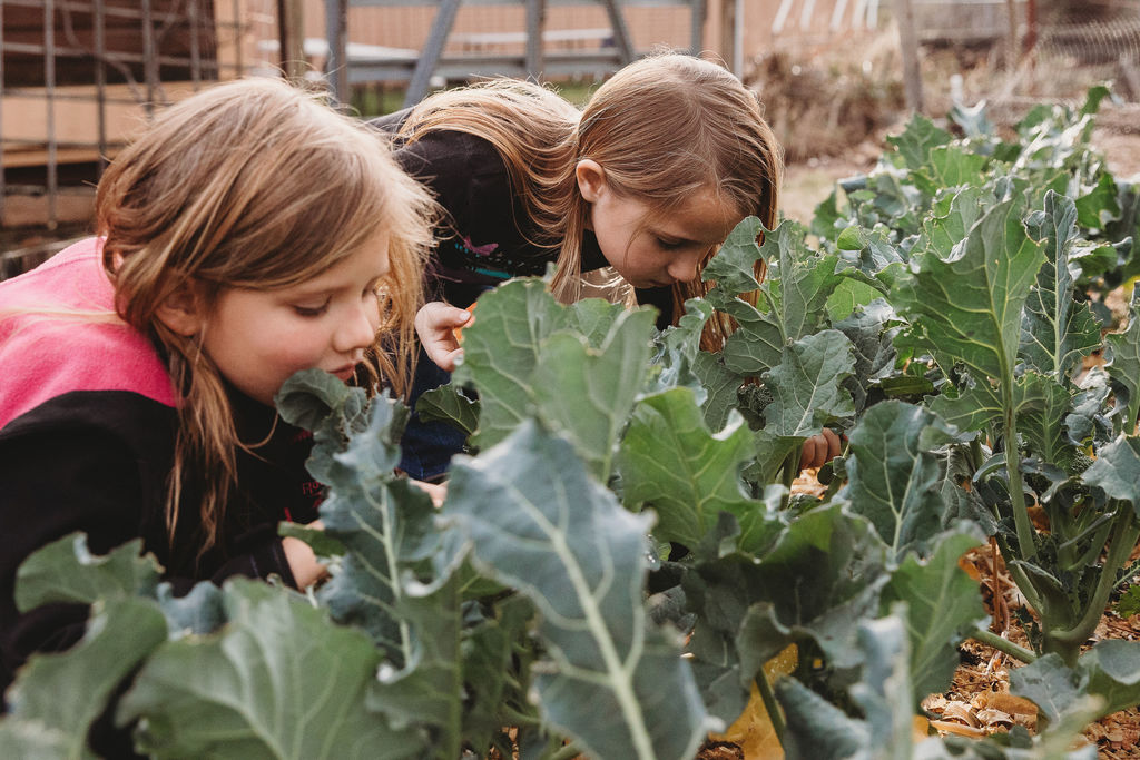 Student Gardening