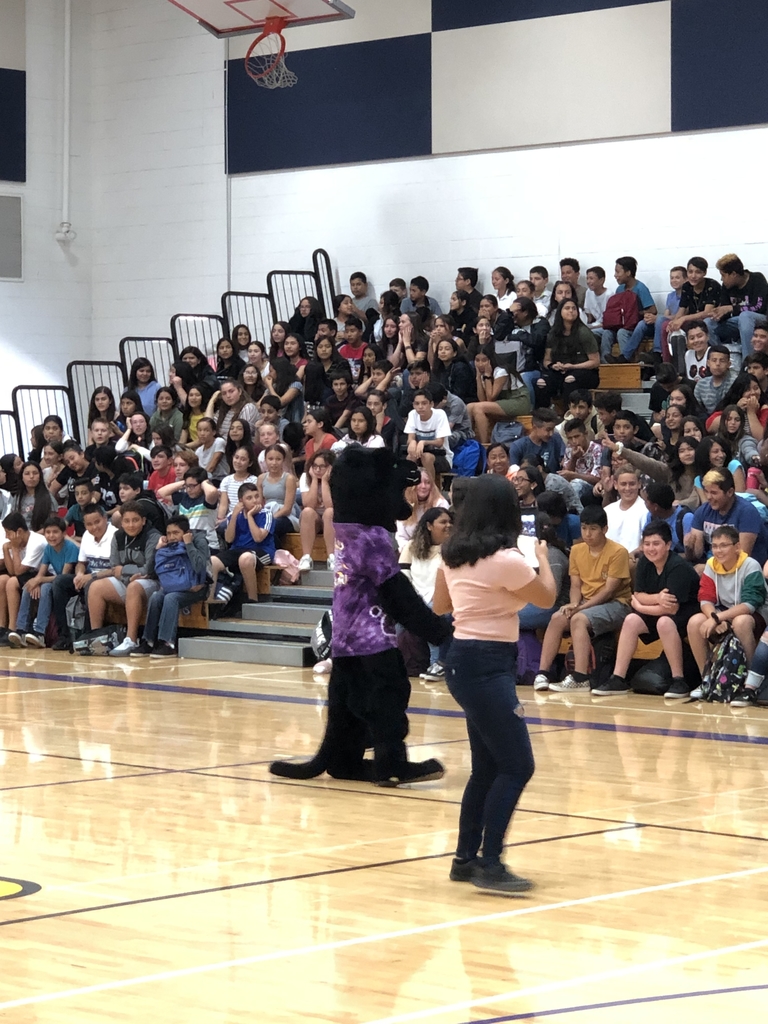 The Yolo Panther getting the crowd excited!