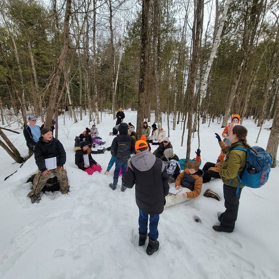 students participate in forest days