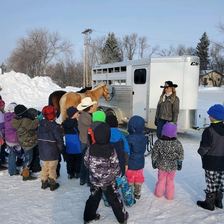 presentation with horse