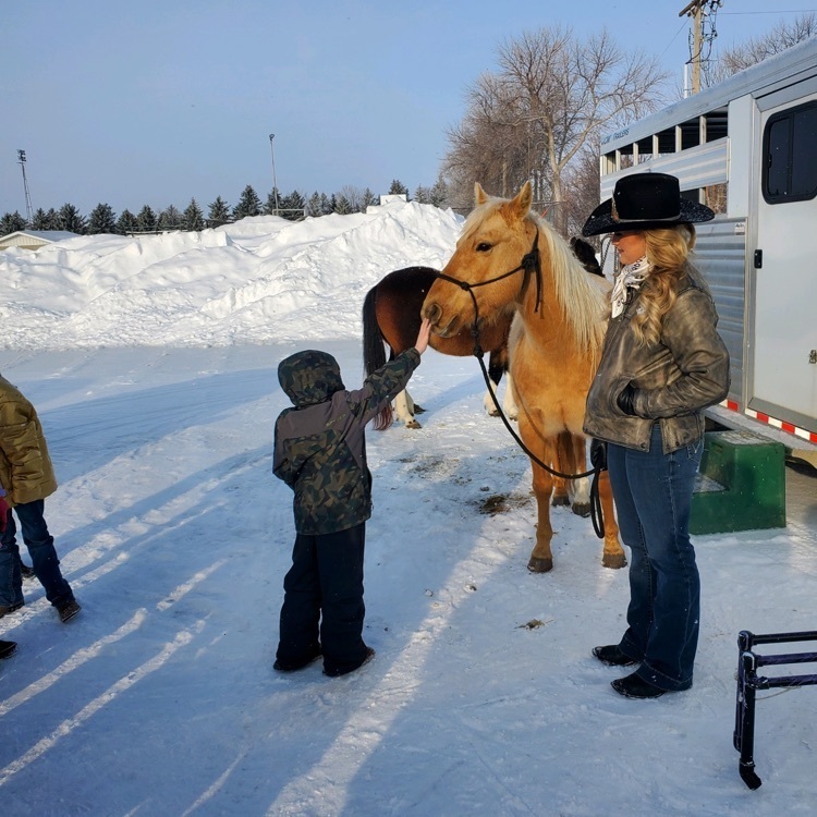 presentation with horse