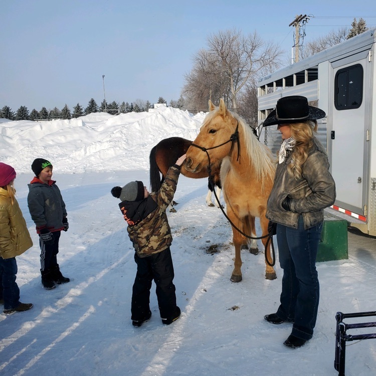 presentation with horse