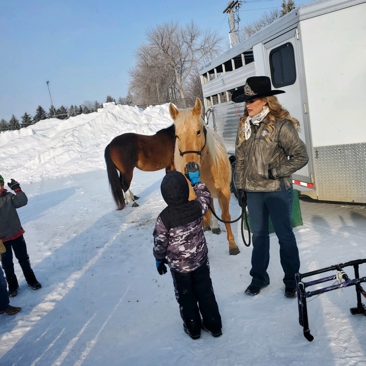 presentation with horse