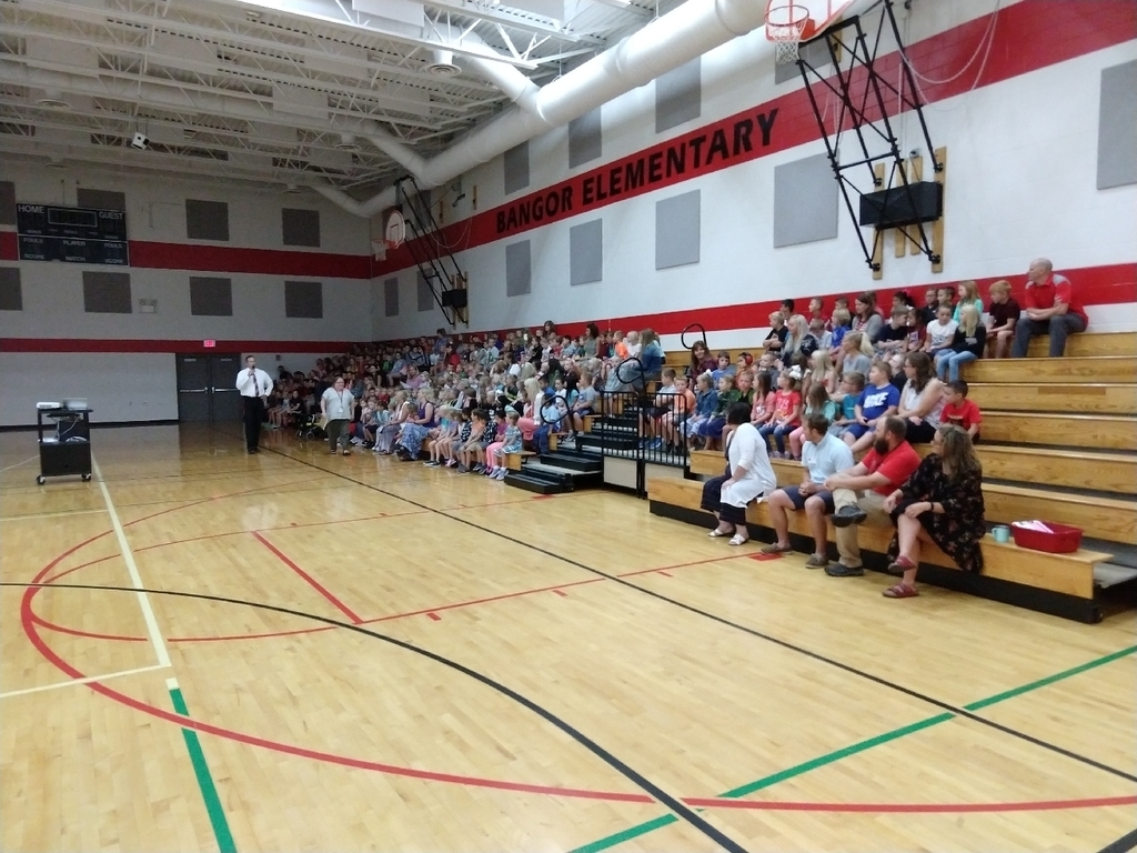 Elementary Assembly