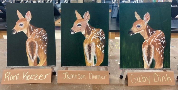 adv. drawing and painting