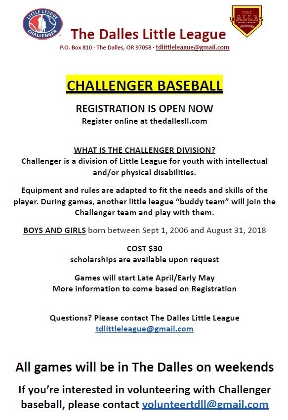 Challenger Baseball