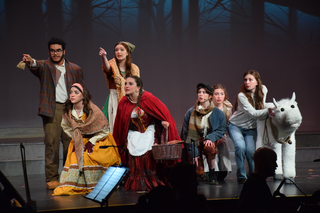 Support the LV Jesters' Production of 'Into the Woods.'