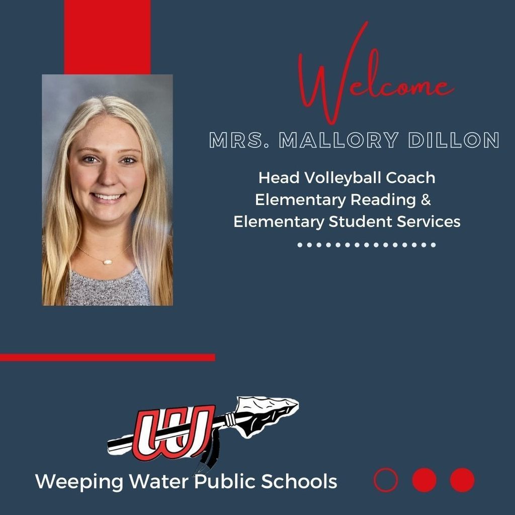 vb coach