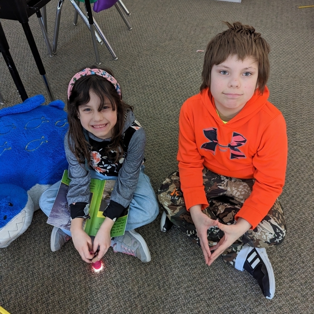 Partner Reading