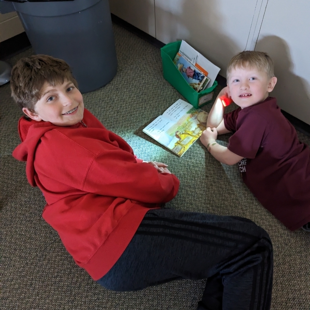 Partner Reading