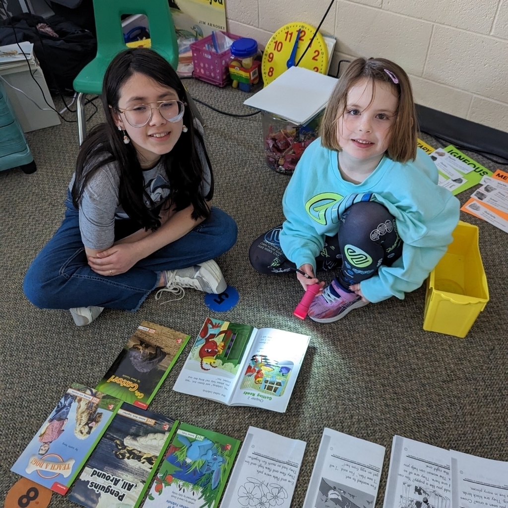 Partner Reading