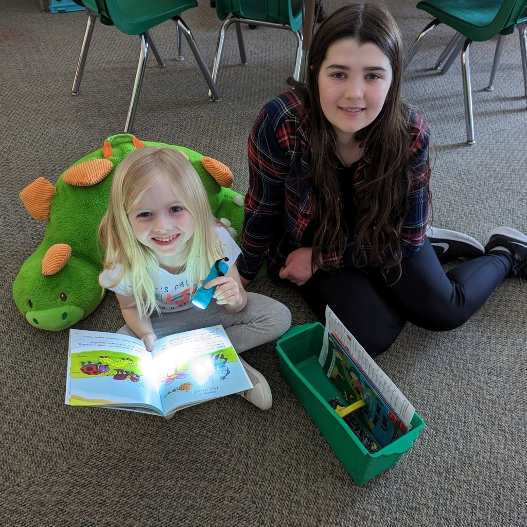 Partner Reading