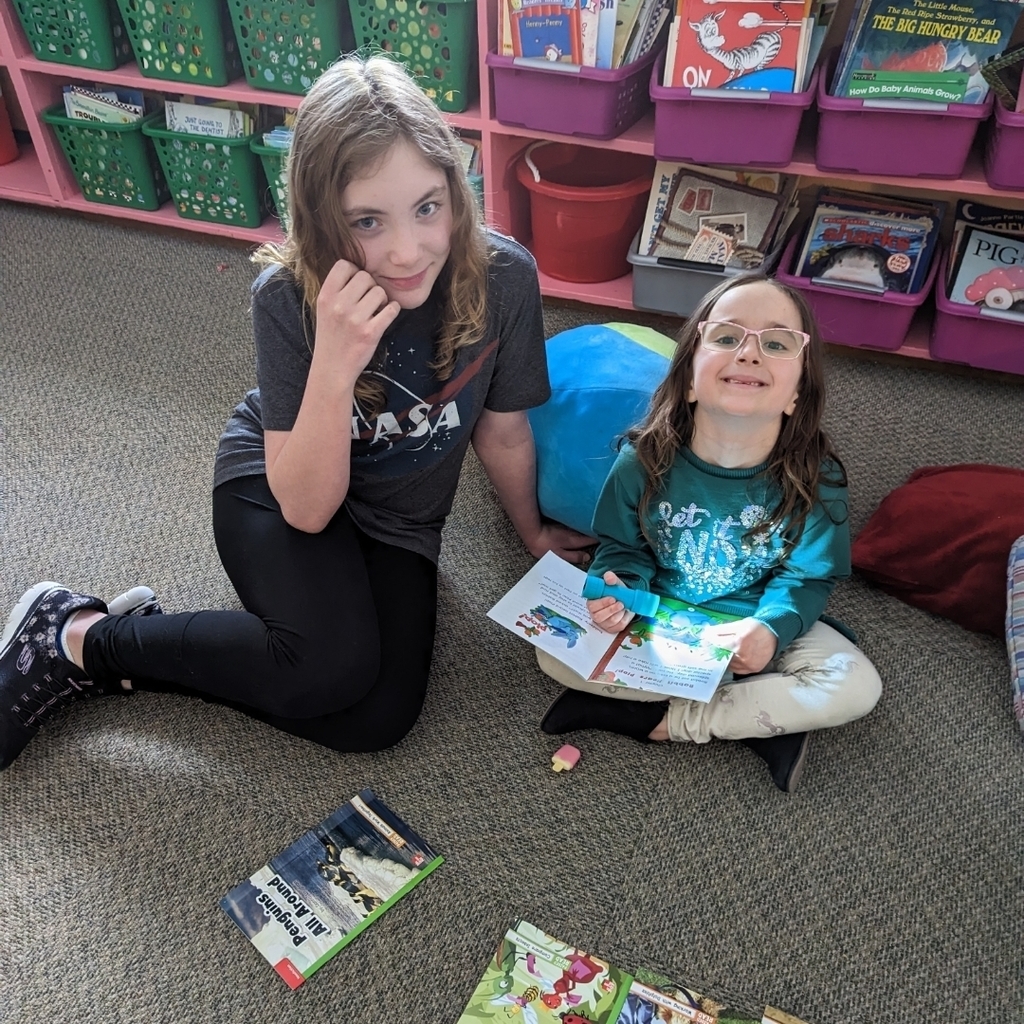 Partner Reading