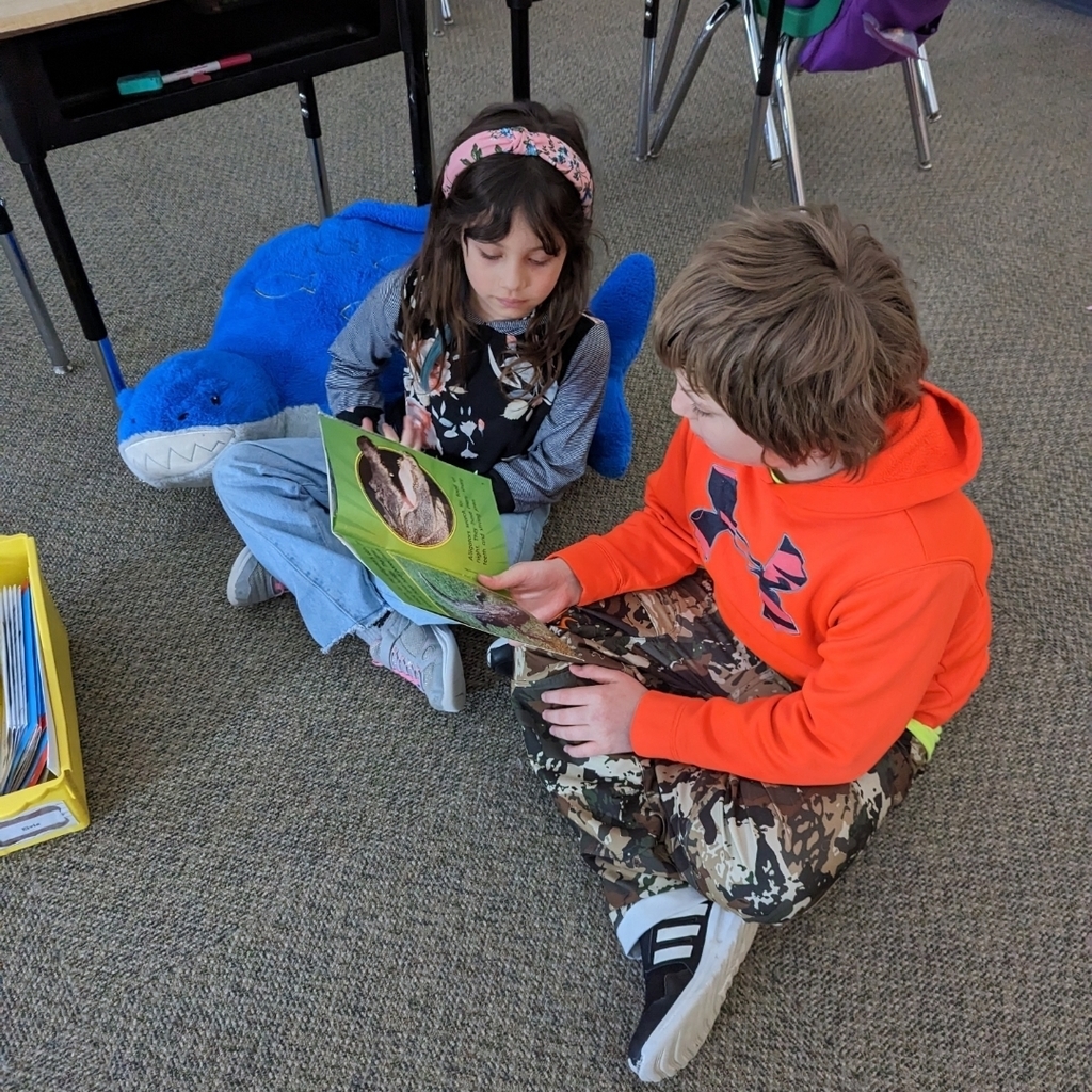 Partner Reading