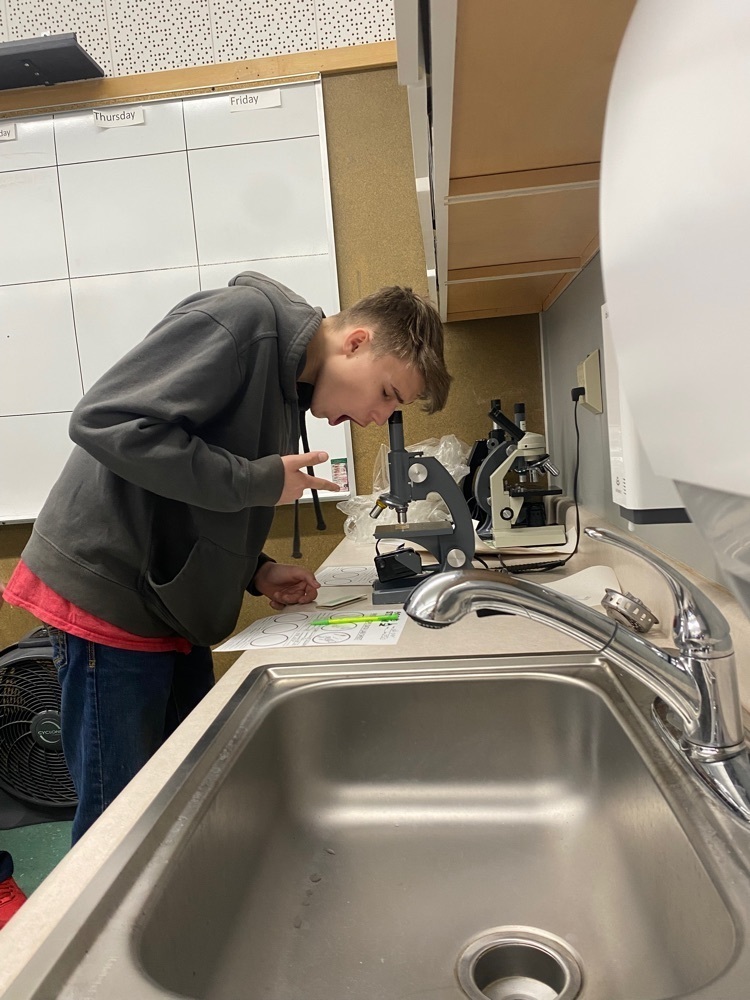 microscopes