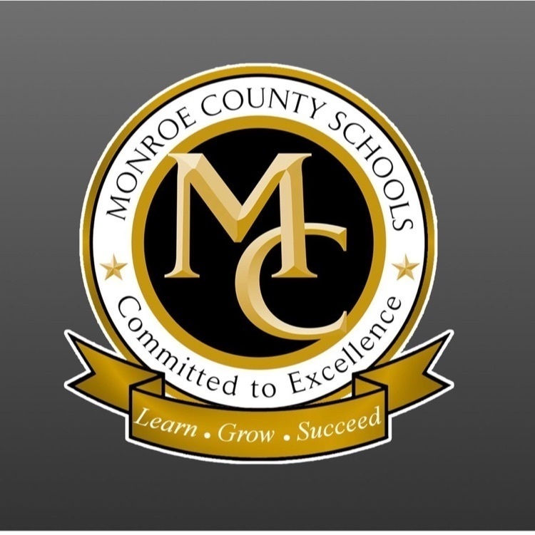 mc schools logo on gray background