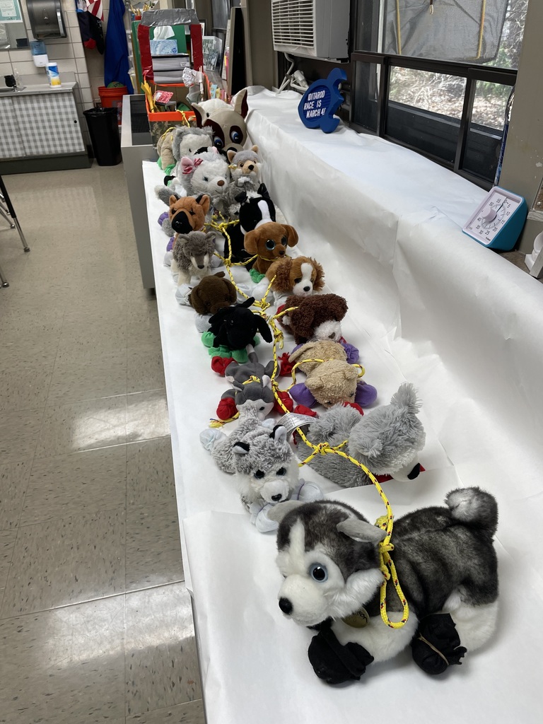 Third-graders Iditarod