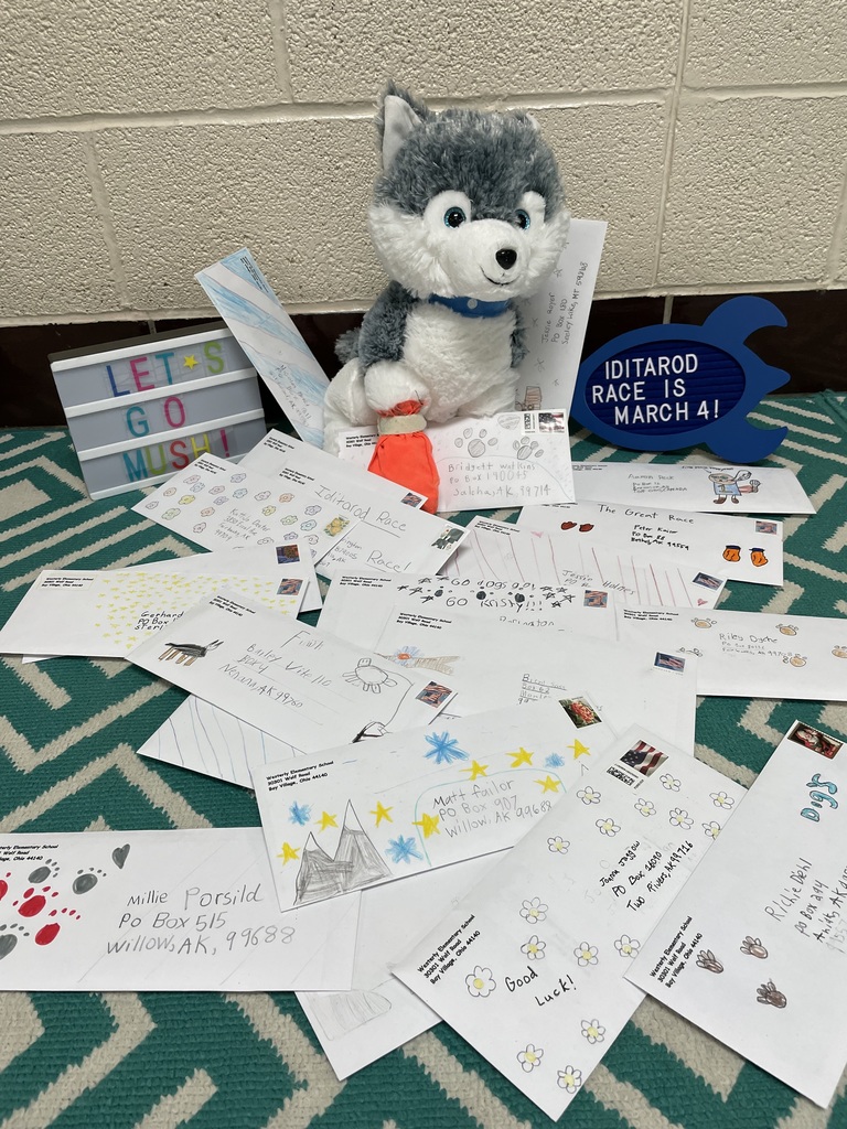 Iditarod Project photo