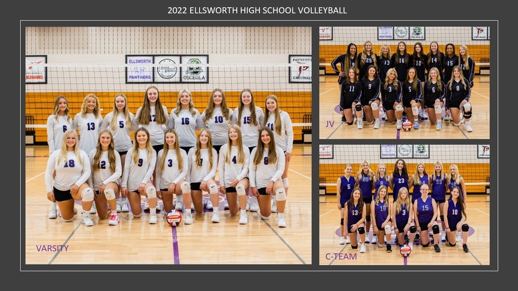For our Dig Pink game each fall the Ellsworth and Baldwin Woodville schools collaborate to cover our gyms in pink tshirts for cancer awareness. This year it was Ellsworth honor to host and we raised $1,680 dollars. We donated these funds to the Firefly Sisterhood which is a great organization that pairs newly diagnosed patients with a mentor that has been through cancer to help walk them through their journey, their website is amazing and probably has way better words that I can express. We recently received a letter, thank you and a certificate for our donation and wanted to share with all the staff, students, and families in Ellsworth that bought a tshirt to help support.