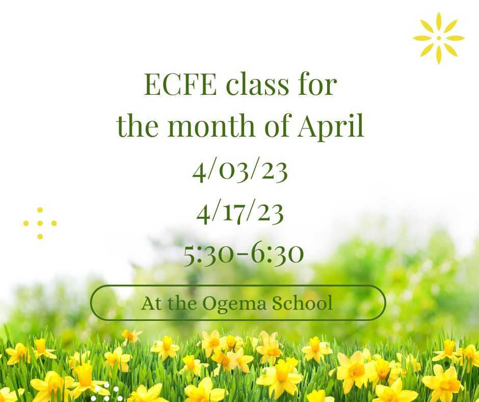 ECFE classes