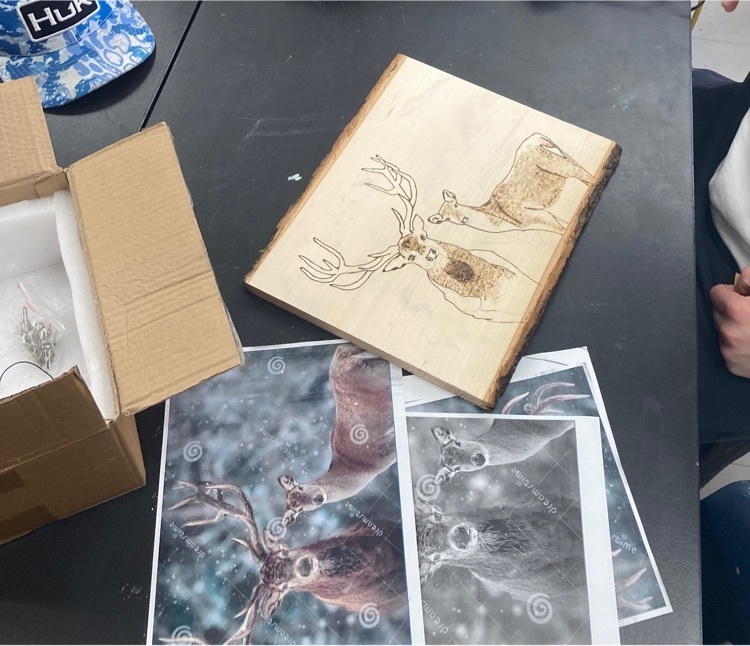 adv. drawing and paintings wood burnings