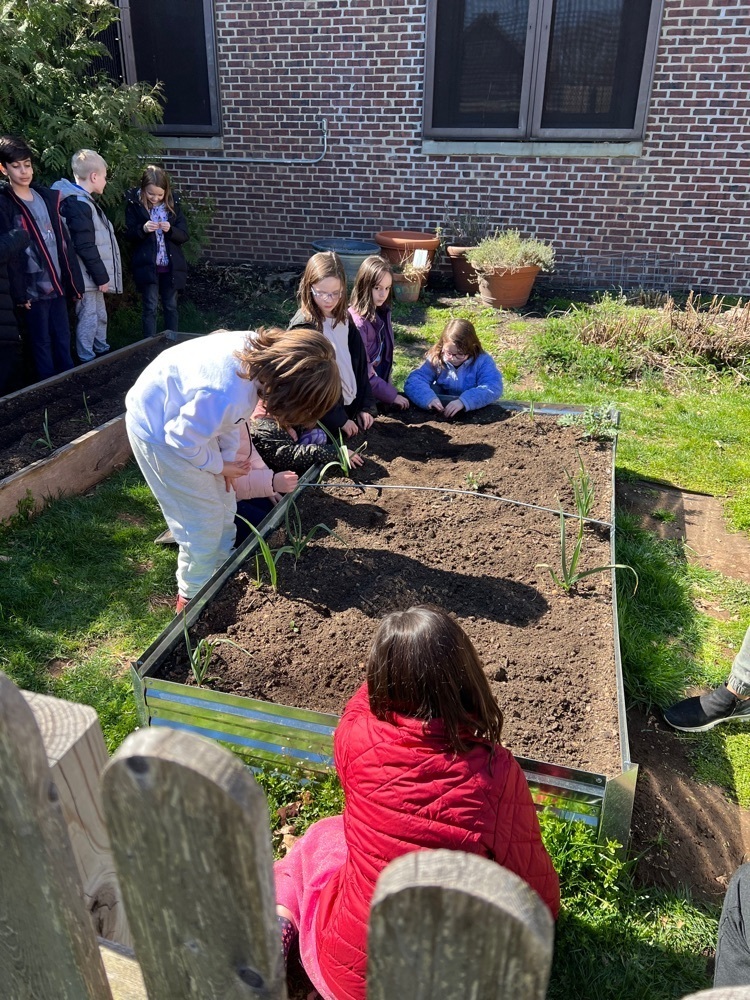 students planting seeds in the garden