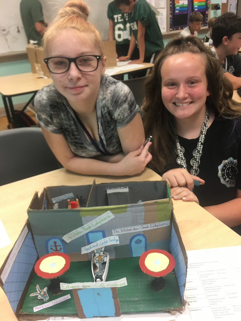 Spongebob Cell Analogy