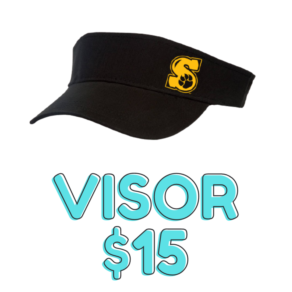 Visor