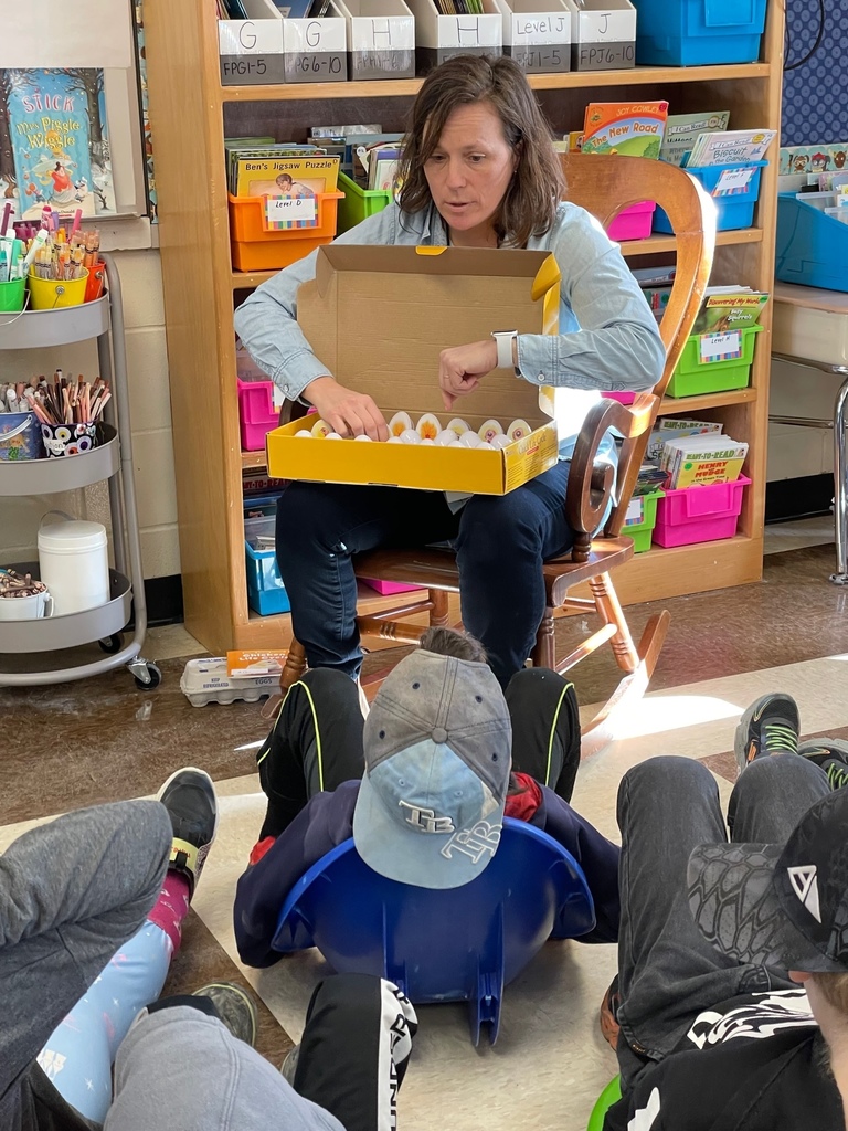 1st grade lifecycle of an egg with Ms Hedda