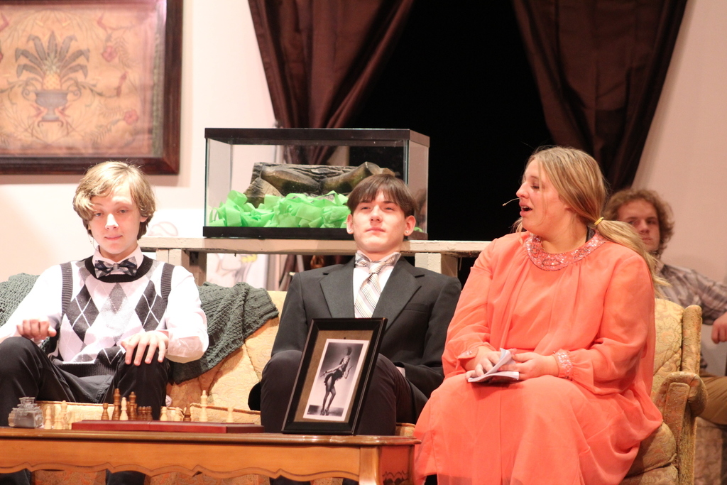 ELLSWORTH HIGH SCHOOL PRESENTS THE SPRING PLAY…